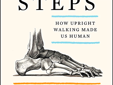 First Steps: How Upright Walking Made Us Human For Sale