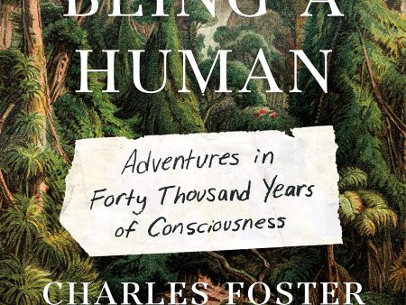 Being a Human: Adventures in Forty Thousand Years of Consciousness on Sale