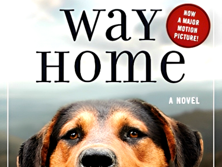 A Dog s Way Home Online now